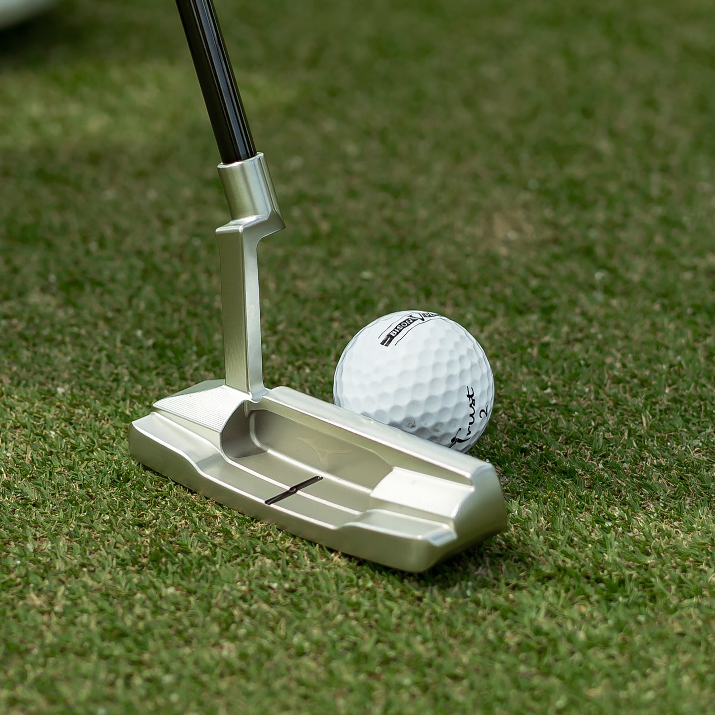 Trust Golf Balls Bison V Power - For ambitious golfers: Extreme distance under 169 km/h, 12 balls 